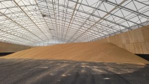 Grain